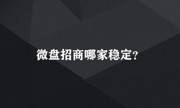 微盘招商哪家稳定？