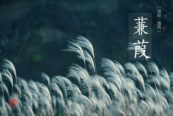 《诗经》里面有“在水一方”的~ 帮俺找找 谢了~