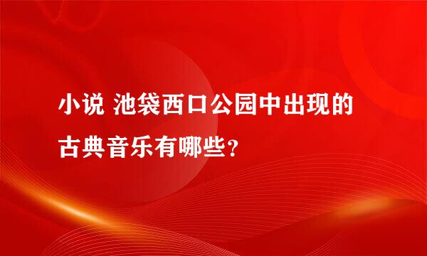 小说 池袋西口公园中出现的古典音乐有哪些？