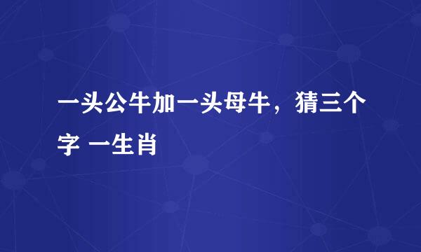 一头公牛加一头母牛，猜三个字 一生肖