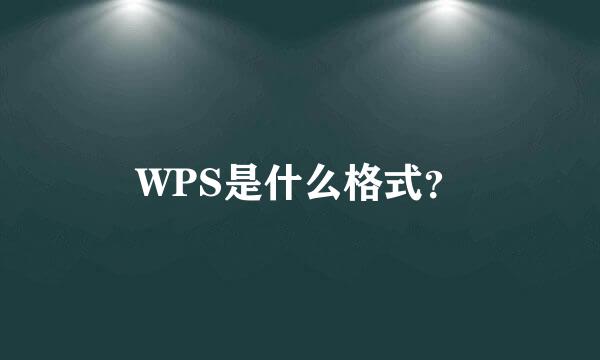 WPS是什么格式？