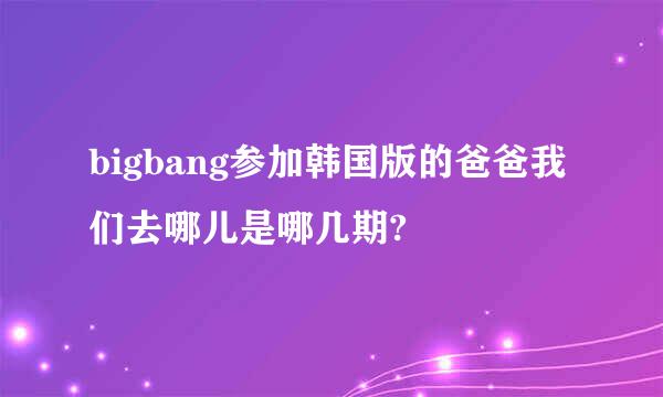 bigbang参加韩国版的爸爸我们去哪儿是哪几期?