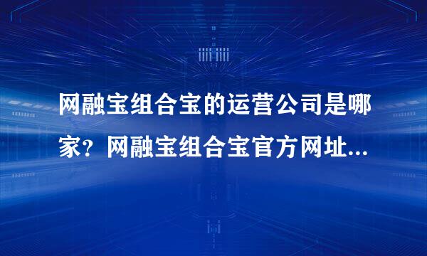 网融宝组合宝的运营公司是哪家？网融宝组合宝官方网址是什么？