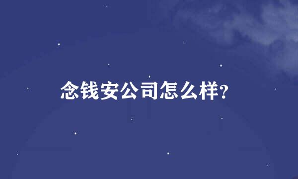 念钱安公司怎么样？