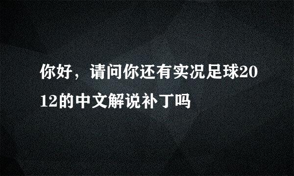 你好，请问你还有实况足球2012的中文解说补丁吗