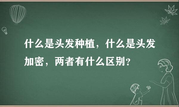 什么是头发种植，什么是头发加密，两者有什么区别？