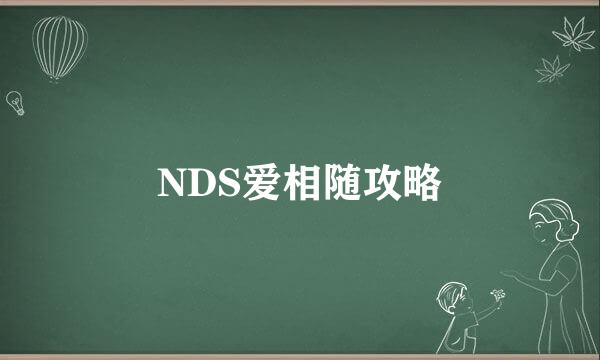 NDS爱相随攻略