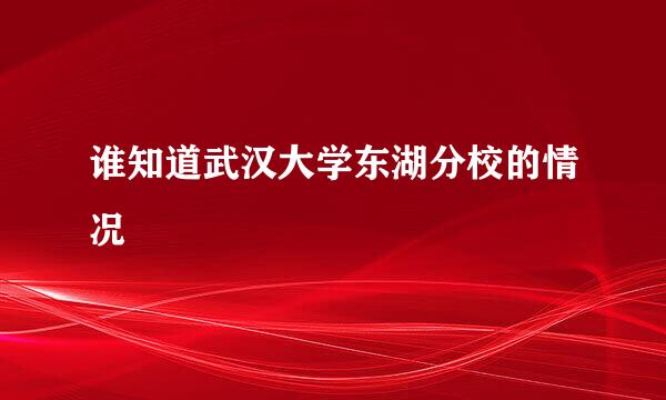 谁知道武汉大学东湖分校的情况