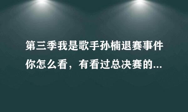 第三季我是歌手孙楠退赛事件你怎么看，有看过总决赛的童鞋进来说一说呗