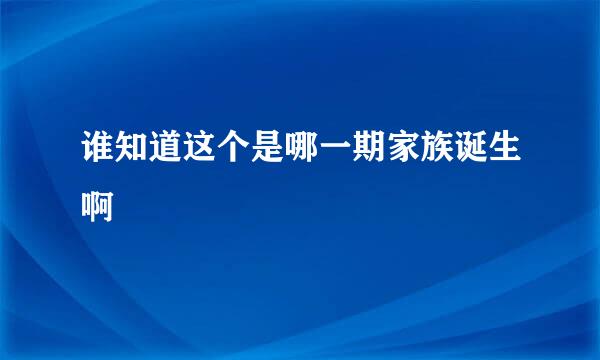 谁知道这个是哪一期家族诞生啊