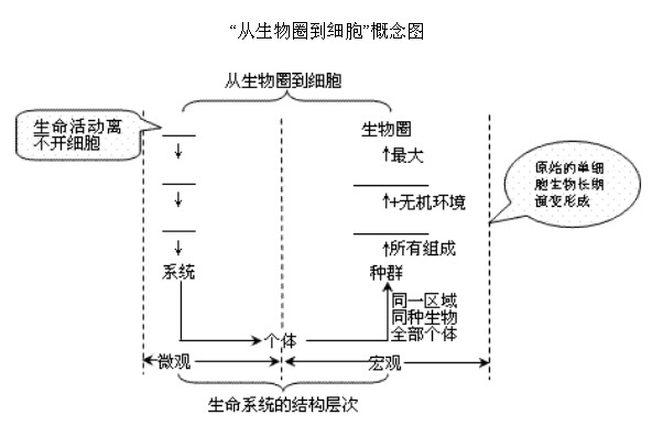 从生物圈到细胞的概念。求解