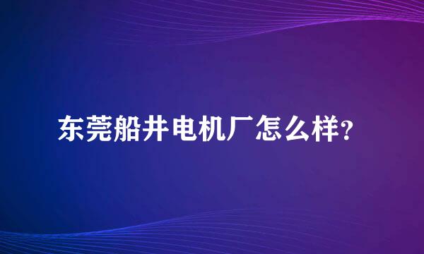 东莞船井电机厂怎么样？