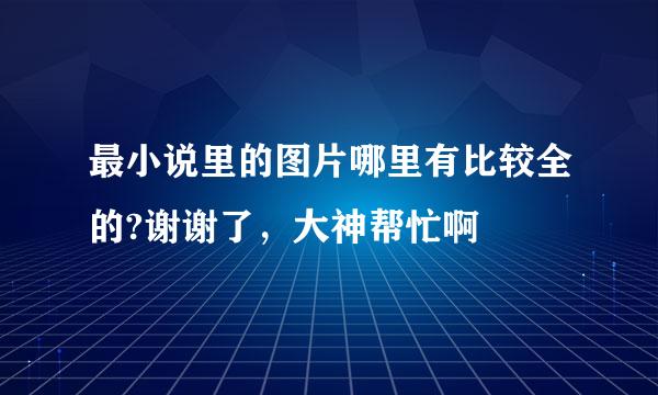 最小说里的图片哪里有比较全的?谢谢了，大神帮忙啊