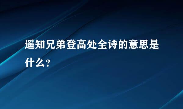 遥知兄弟登高处全诗的意思是什么？