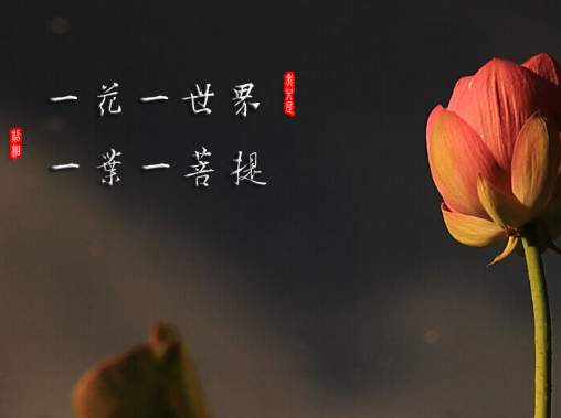 一花一世界什么意思