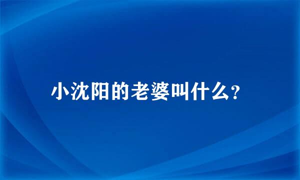 小沈阳的老婆叫什么？