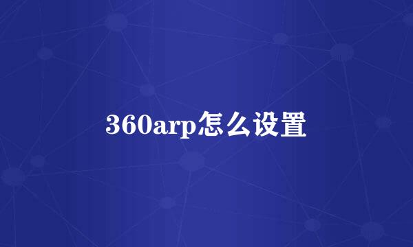 360arp怎么设置