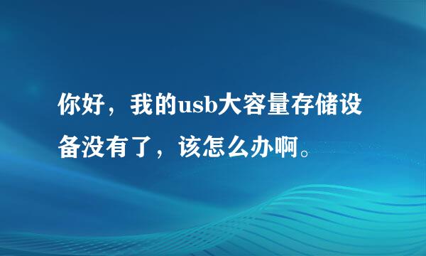 你好，我的usb大容量存储设备没有了，该怎么办啊。