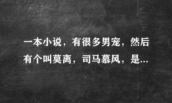 一本小说，有很多男宠，然后有个叫莫离，司马慕风，是什么小说？