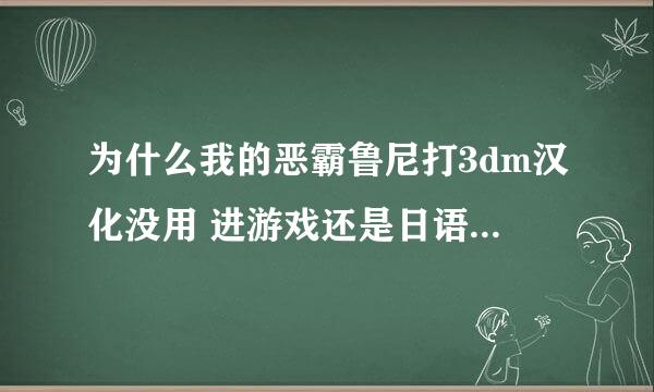 为什么我的恶霸鲁尼打3dm汉化没用 进游戏还是日语 求大神