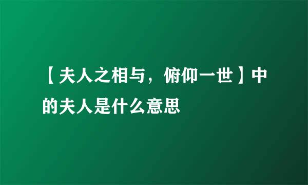 【夫人之相与，俯仰一世】中的夫人是什么意思