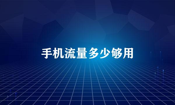 手机流量多少够用