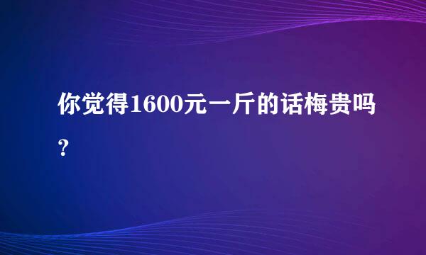 你觉得1600元一斤的话梅贵吗？