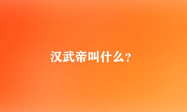 汉武帝叫什么？