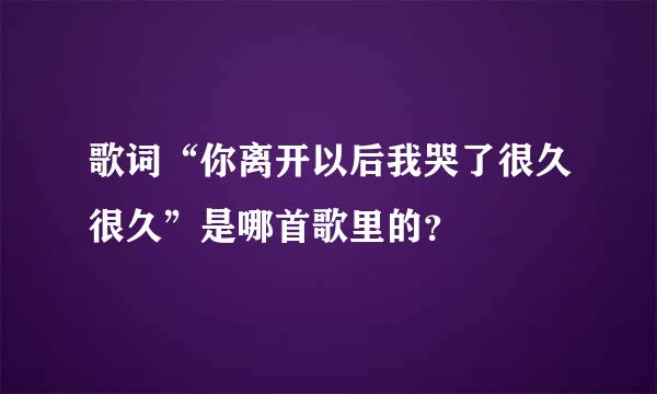 歌词“你离开以后我哭了很久很久”是哪首歌里的？