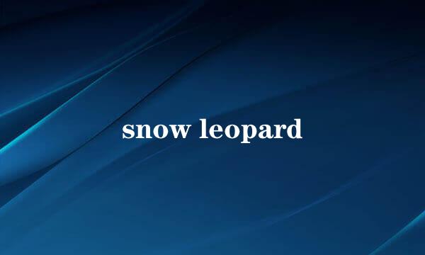 snow leopard