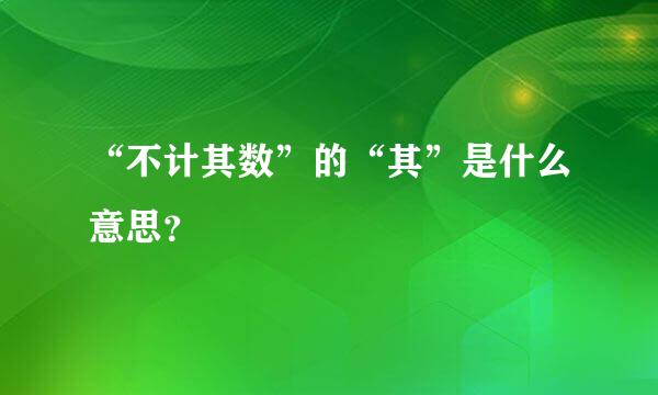 “不计其数”的“其”是什么意思？