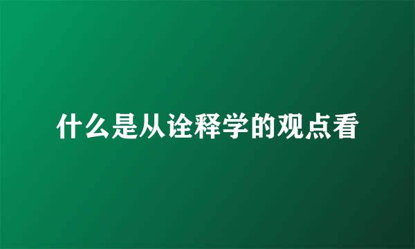 什么是从诠释学的观点看