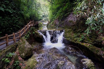 重庆黑山谷和金刀峡哪一个更好玩点