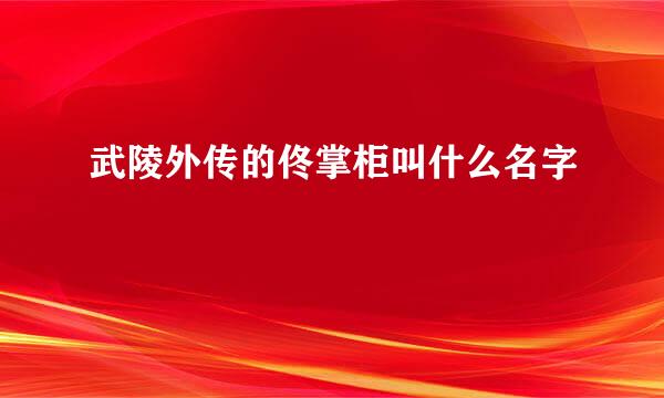 武陵外传的佟掌柜叫什么名字