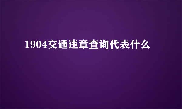 1904交通违章查询代表什么