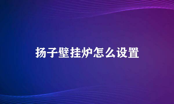 扬子壁挂炉怎么设置