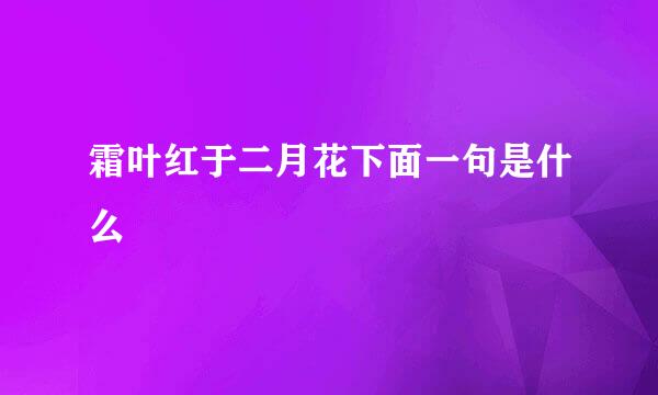 霜叶红于二月花下面一句是什么