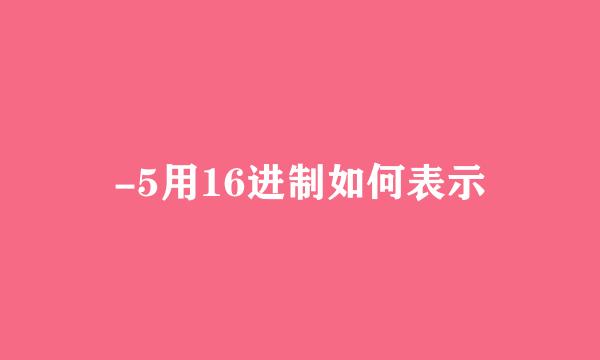 -5用16进制如何表示