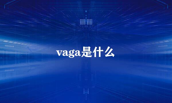 vaga是什么