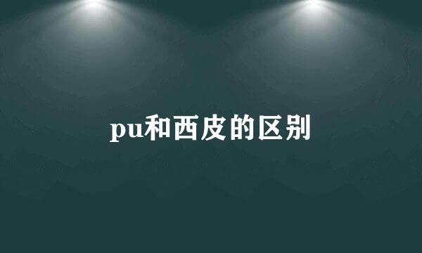 pu和西皮的区别