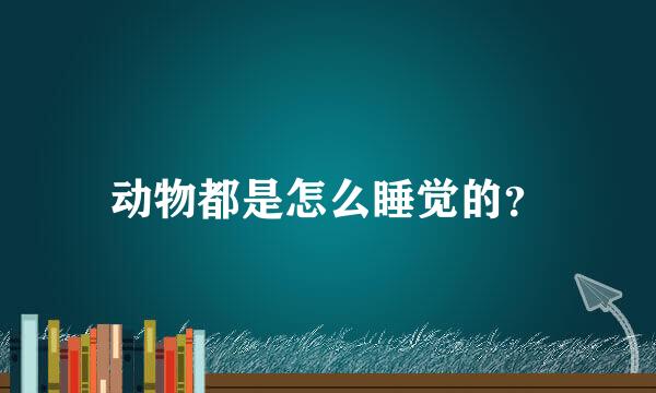 动物都是怎么睡觉的？