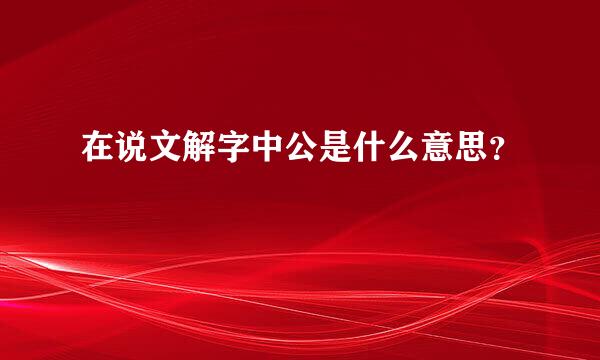 在说文解字中公是什么意思？