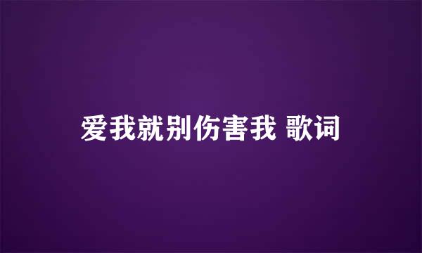 爱我就别伤害我 歌词