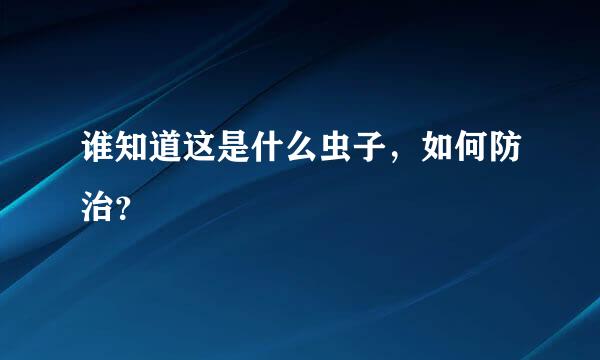 谁知道这是什么虫子，如何防治？