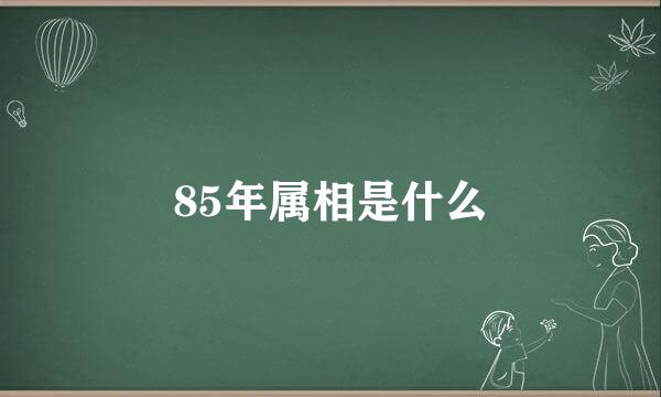 85年属相是什么