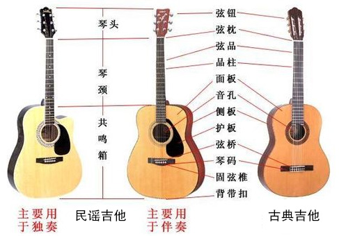 吉他新手，怎么样才能学会弹吉他啊