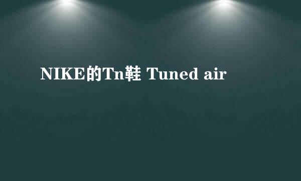 NIKE的Tn鞋 Tuned air