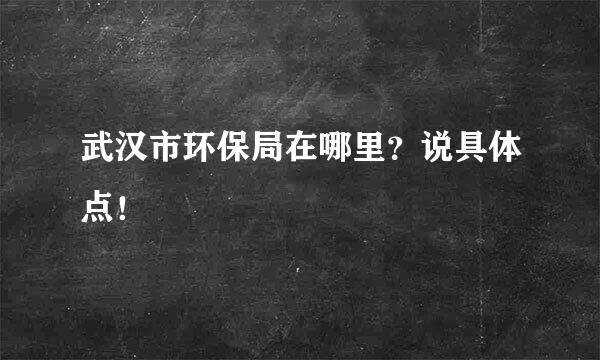 武汉市环保局在哪里？说具体点！