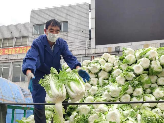 今年蔬菜价格为何会出现反常跳涨的现象？