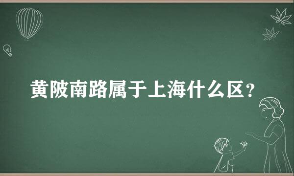 黄陂南路属于上海什么区？